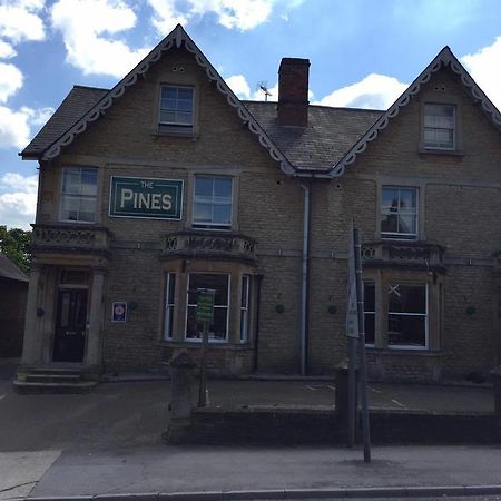 The Pines Guest Accommodation Chippenham  Extérieur photo